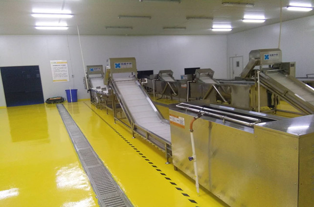 龙八头号玩家唯一告诉你全自动洗菜机都有哪些功能 龙八头号玩家唯一告诉你全自动洗菜机都有哪些功能