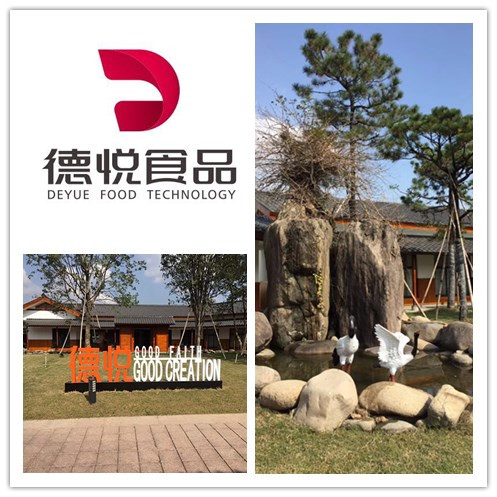 浙江德悦食品科技有限公司-龙八头号玩家唯一中央厨房浙江案例 浙江德悦食品科技有限公司-龙八头号玩家唯一中央厨房浙江案例